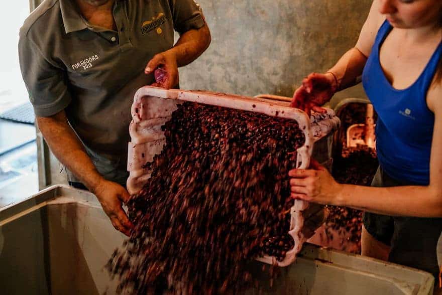 The story of the Swartland is written in its wines